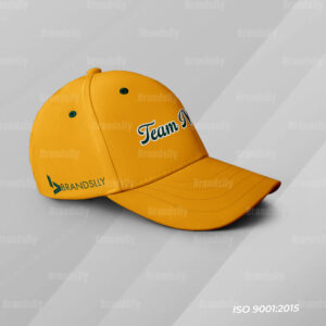 BDL-CAP-002